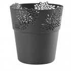 Osłonka Aster antracyt