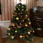 Apartament Luxury - Boże Narodzenie