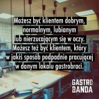 Cytat