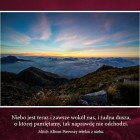 Mitch Albom - Pierwszy telefon z nieba