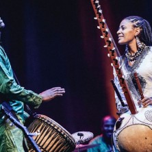 Królowa Brave Festival 2015