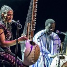 Koncert na dwie kory