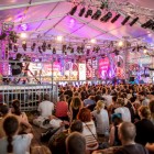 "Central Park West" na Przystanku Woodstock 2015