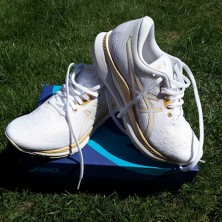 ASICS EVORIDE