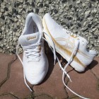 ASICS EVORIDE