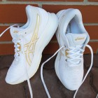 ASICS EVORIDE