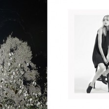 Concept Limited Collection