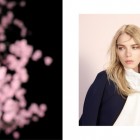 Concept Limited Collection