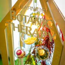 Garnier Botanic Therapy