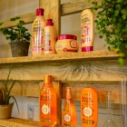 Garnier Botanic Therapy