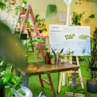 Garnier Botanic Therapy
