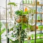 Garnier Botanic Therapy