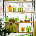 Garnier Botanic Therapy