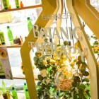 Garnier Botanic Therapy