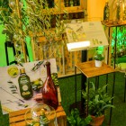 Garnier Botanic Therapy