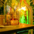 Garnier Botanic Therapy