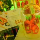 Garnier Botanic Therapy