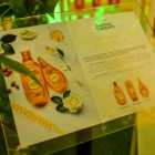 Garnier Botanic Therapy