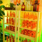 Garnier Botanic Therapy