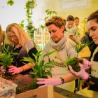 Garnier Botanic Therapy