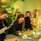 Garnier Botanic Therapy