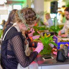 Garnier Botanic Therapy