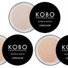 KOBO PROFESSIONAL MINERAL SERIES CONCEALER 
