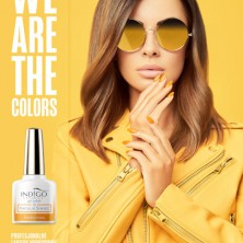 WE ARE THE COLORS