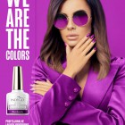 WE ARE THE COLORS