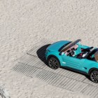 Cactus M