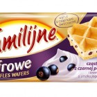 Familijne wafle Gofrowe z cząsteczkami czarnej porzeczki