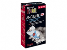 Fiszki School Angielski „Do you enjoy watching action films?” - recenzja
