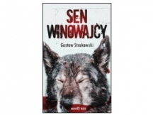 „Sen winowajcy” – recenzja