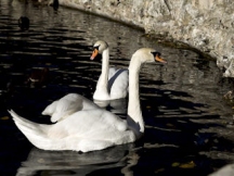 Koronawirus ze świata wygania ludzi…